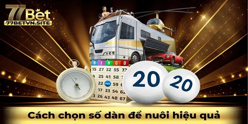 Cách chọn số dàn đề để nuôi hiệu quả