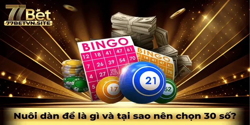 Nuôi dàn đề là gì và tại sao nên chọn 30 số?